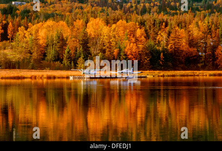 Two Alaska float planes moored at dock amid reflections in the water of the planes and colorful yellow foliage of fall trees Stock Photo