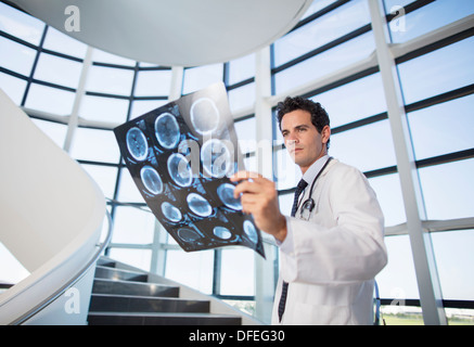 Doctor viewing head x-rays on staircase Stock Photo