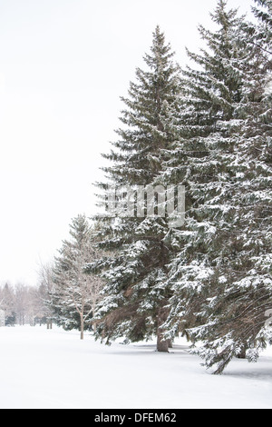 Ice storm blizzard Fargo North Dakota Christmas 2016 Stock Photo - Alamy