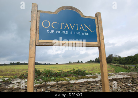 Octavian Vaults, Corsham Cellars a fine wine storage facility on the site of an old stone mine near Chippenham, Wiltshire, UK Stock Photo