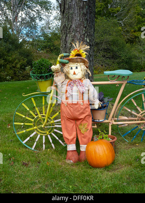Scarecrow in front yard with fanciful bicycle planter and pumpkins and mums, Maine USA vertical Stock Photo