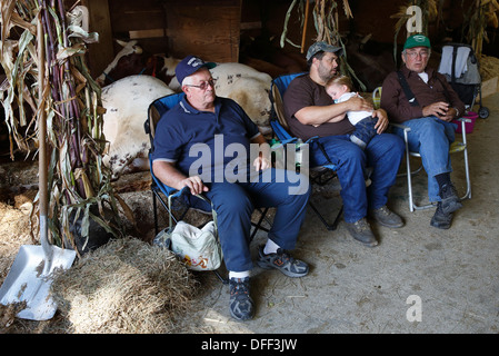 Owners sit with their oxen in the barn at Fryeburg Fair, Fryeburg, Maine, USA Stock Photo