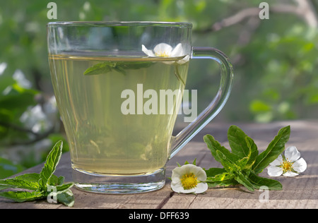 Mint tea with green leaves served on the terrace Stock Photo