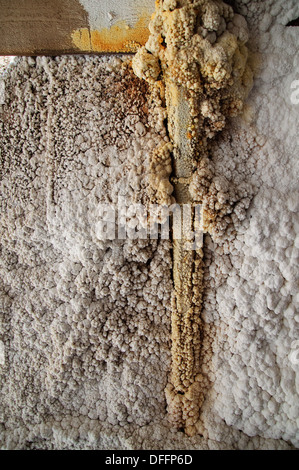 Close up of Salt crystal formations Stock Photo