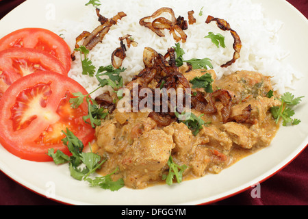 south-Indian Chicken Korma, incoporating coconut, with boiled basmati rice and  coriander leaves, fried onion and sliced tomato. Stock Photo