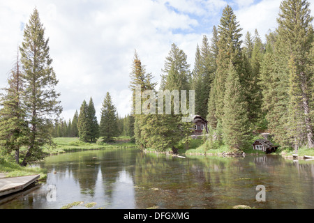 Johnny Sack cabin amid pine trees in Big Springs, Island Park,  Idaho Stock Photo
