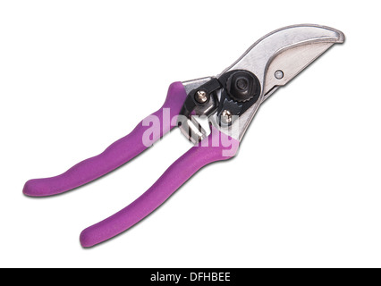 Various size cutters for trimming tree branches Stock Photo