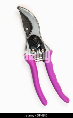 Various size cutters for trimming tree branches Stock Photo