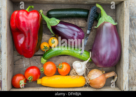Home grown vegetables for making Ratatouille Stock Photo