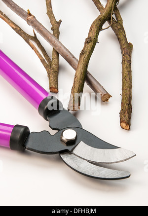 Various size cutters for trimming tree branches Stock Photo