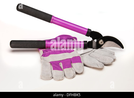 Various size cutters for trimming tree branches Stock Photo