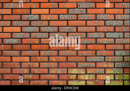 Red brick wall with moss textures for background Stock Photo