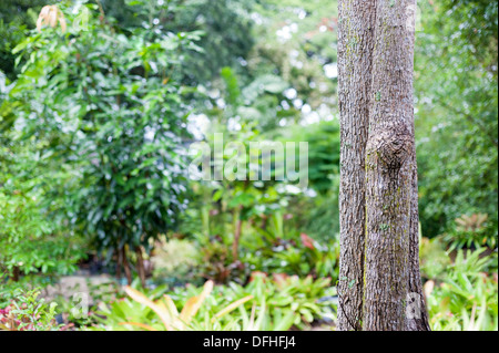 Nature background blur technic . Stock Photo