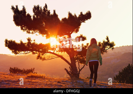 Lonely Tree on Mountain and Woman walking alone to Sunset behind view in orange and pink colors Melancholy solitude emotions Stock Photo