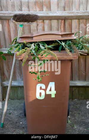 Domestic recycling bins for garden waste Stock Photo