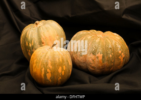 Pumpkins on a black matt background Stock Photo - Alamy