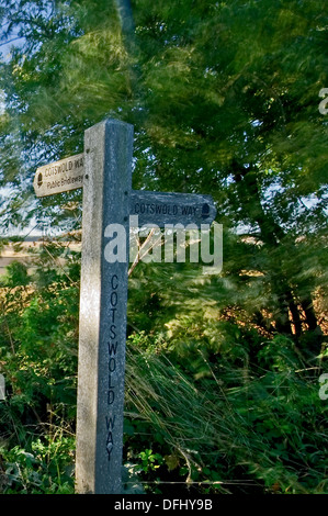 Timber finger signpost for the Cotswold Way long distance public footpath near Chipping Campden. Stock Photo
