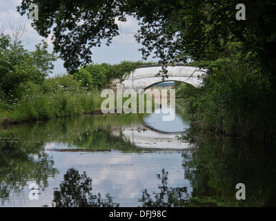 Bradley Meadow Bridge over the Trent and Mersey Canal Stock Photo