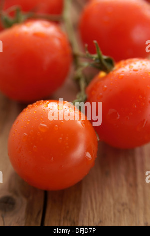 Freshly washed cherry tomatoes on the vine Stock Photo