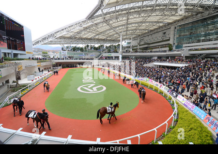 The paddock at Hanshin racecourse near Kobe in Japan. Stock Photo