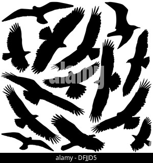 Predator Silhouette Stock Photo