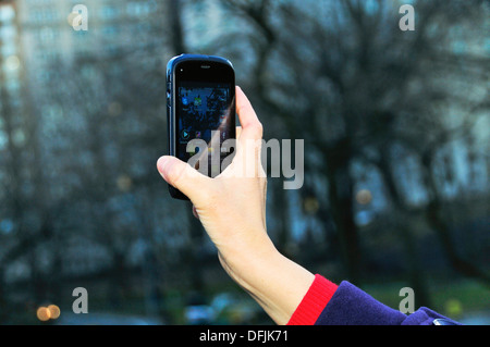 Youthful woman using smart phone in Central Park, New York City, USA Stock Photo