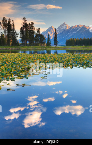 Clouds and mountains reflected in Heron Pond near Colter Bay in Grand Teton National Park, Wyoming Stock Photo