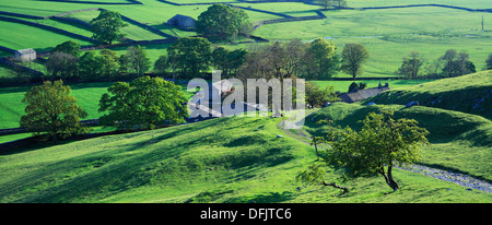 Summer view over Arncliffe in Littondale in the Yorkshire Dales of England Stock Photo