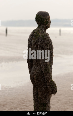 Antony Gormley Another Place, barnacle covered sculptures on Crosby