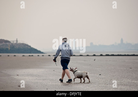 man boy walking white Staffordshire bull terrier type dog on Beach Stock Photo