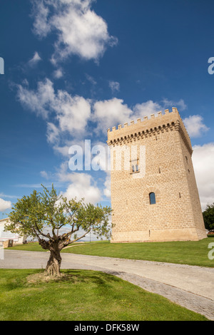 Medieval tower of 15th century in the village of Olcoz, Navarra, Spain Stock Photo