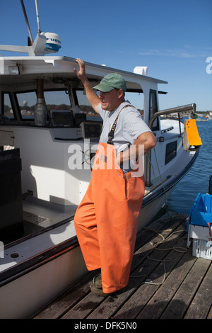 Lobsterman Eric Emmons on lobster dock in Maine getting ready to weigh, buy and sell fresh caught lobsters for trade. Stock Photo