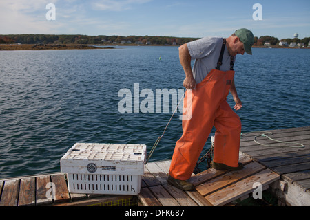Lobsterman Eric Emmons on lobster dock in Maine getting ready to buy and sell fresh caught lobsters for trade. Stock Photo