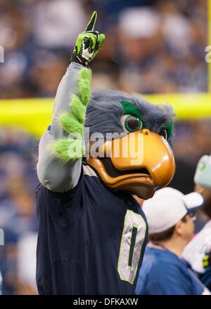 Seattle seahawks hat hi-res stock photography and images - Alamy