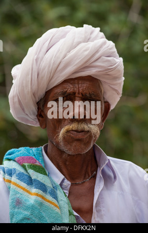 Indian Handlebar Moustache Stock Photo