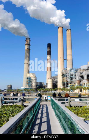 TECO Tampa Electric Company Manatee Viewing Center Apollo Beach Stock
