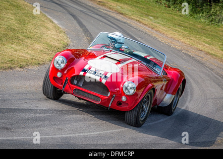 1963 AC Cobra Le Mans Coupe with driver Paul Vesty at the 2013 Goodwood Festival of Speed, Sussex, England. Stock Photo