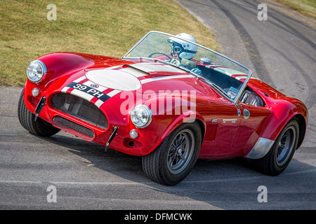 1963 AC Cobra Le Mans Coupe with driver Paul Vesty at the 2013 Goodwood Festival of Speed, Sussex, England. Stock Photo