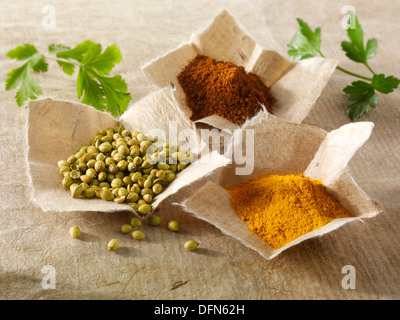 Coriander seed, ground chilli powder & ground turmeric spices Stock Photo