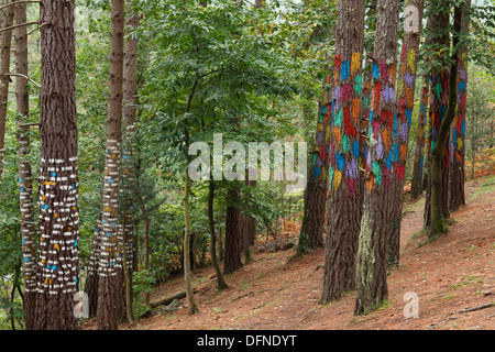 Painted trunks of trees, El bosque pintado de Oma, El bosque animado de Oma, Evocacion al mundo atomico del puntilismo, evocatio Stock Photo