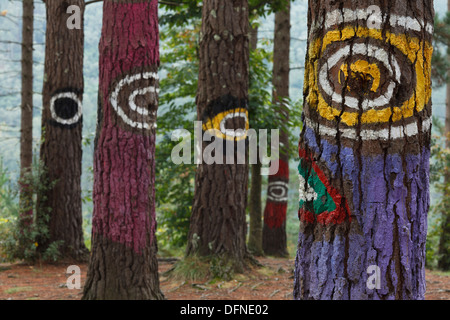Painted trunks of trees, El bosque pintado de Oma, El bosque animado de Oma, Miran igual que tu, They are looking like you, Kort Stock Photo