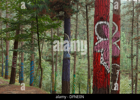 Painted trunks of trees, El bosque pintado de Oma, El bosque animado de Oma, Hay mas ninos de los que parece, There are more chi Stock Photo