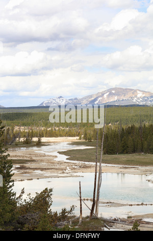 Porcelain Basin geyser hot lakes in the Yellowstone National Park USA Stock Photo