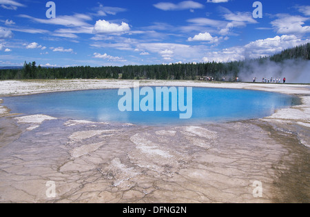 Elk265-1565 Wyoming, Yellowstone National Park, Midway Basin, Turquoise Pool Stock Photo