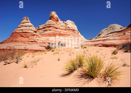 Colourful sandstone cones, Paria Canyon, Vermilion Cliffs National Monument, Arizona, Southwest, USA, America Stock Photo