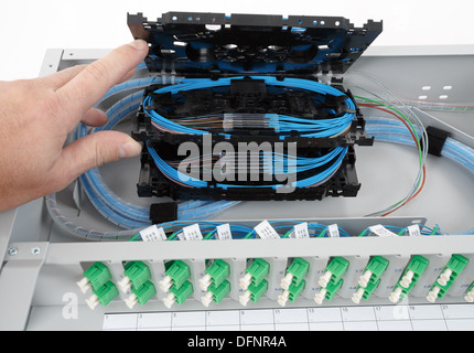 stack of fiber optic splice cassettes with protection sleeve and blue fibres installed in optical distribution frame Stock Photo