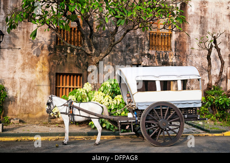 Horse Drawn Calesas waiting for tourists in Intramuros, a historical part of Manila. Stock Photo