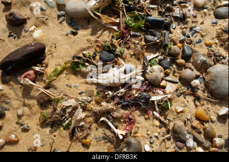 Tidal erosion along Suffolk coastline Stock Photo