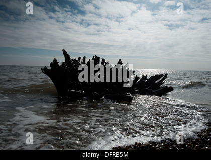 Tidal erosion along Suffolk coastline Stock Photo