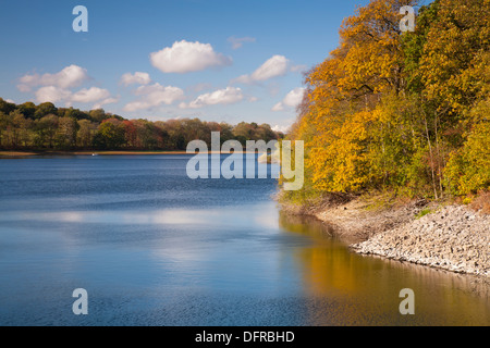 View of Severn Trent's Blackbrook reservoir Leicestershire Stock Photo ...